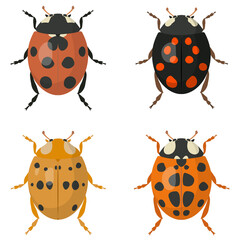 Set of ladybugs. Beetles of different colors.