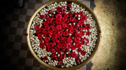 red and white flowers