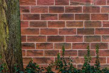 a brick wall with ivy growing on it