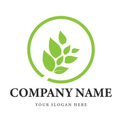 Green leaf logo for company