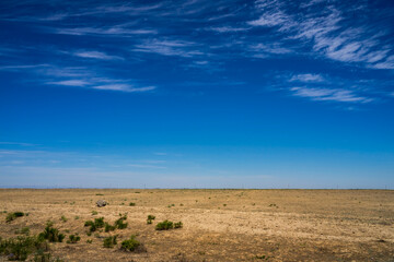Fototapeta na wymiar Steppe in the summer. Blue sky and clouds over the steppe. Burnt steppe in the summer. The texture of the earth scorched by the sun. Desert. 