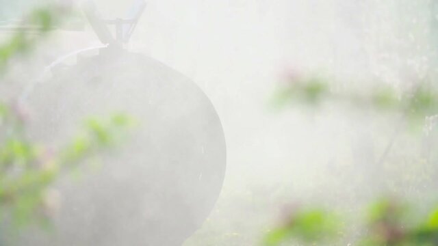 tractor spraying blossoming trees of apple tree