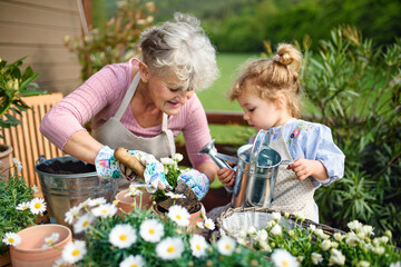 Senior grandmother with small granddaughter gardening on balcony in summer.