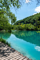 Picturesque morning in Plitvice National Park. Colorful spring scene of green forest with pure water lake. Great countryside view of Croatia, Europe
