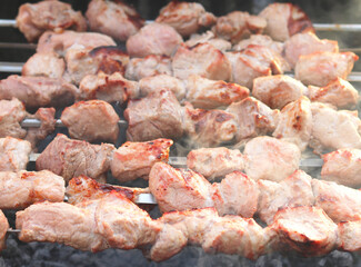 Cooking meat on skewers in barbecue on picnic