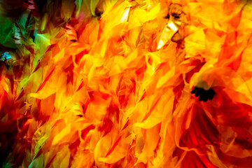 Naklejka na ściany i meble flaming costume seen in carnival