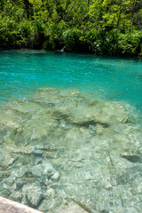 Picturesque morning in Plitvice National Park. Colorful spring scene of green forest with pure water lake. Great countryside view of Croatia, Europe