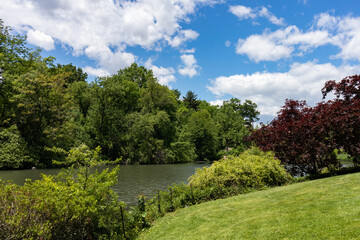 The Pond at Central Park in New York City during Spring with Green Plants and Trees