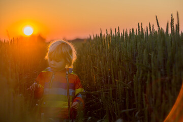 Blond child, toddler boy, running in field on sunset, holding flowers
