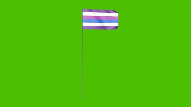 Bigender rainbow flag waving in the wind. 3D animation of a bigender flag on a green screen.