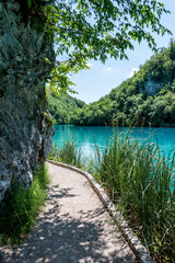 Fototapeta na wymiar Picturesque morning in Plitvice National Park. Colorful spring scene of green forest with pure water lake. Great countryside view of Croatia, Europe