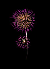 Pink fireworks sparkling on night sky .