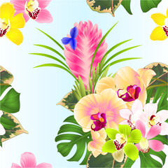 Seamless texture tropical flowers yellow orchid Phalaenopsis and  cymbidium various bouquet with Tillandsia cyanea , palm,philodendron on a white background vintage vector 