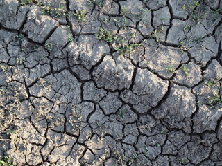 Dry and cracked earth background, concept of global warming