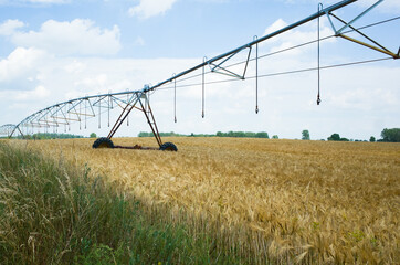 Bewässerungsanlage in der Agrarwirtschaft