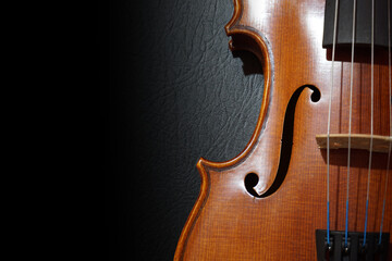 Violin on black background