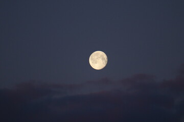 moon
