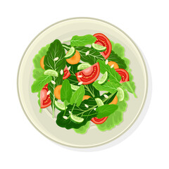 Vegetable Salad with Lettuce and Tomato Vector Illustration