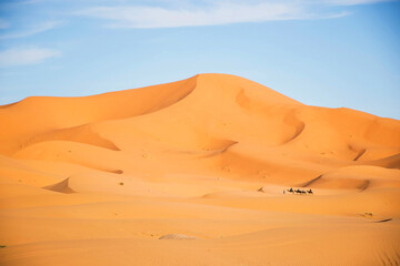Fototapeta na wymiar Desert high sand dunes in the evenening light with camel caravan in the distance. Extreme adventure travel destinations. Merzouga Morocco sahara landscape. 