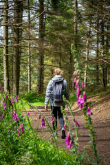 Obraz premium Travel woman with backpack. Enjoying nature sunset. Relaxing in park during wet weather. Trekking concept, selective focus.