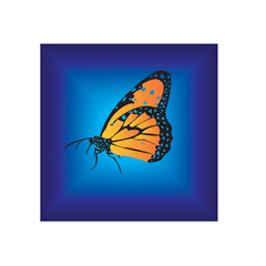 Fototapeta na wymiar butterfly colorful illustration background. vector design