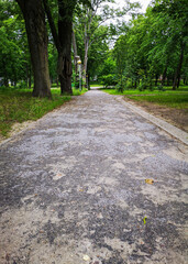 Long concrete path in park between lamps and trees
