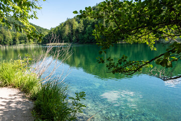 Picturesque morning in Plitvice National Park. Colorful spring scene of green forest with pure water lake. Great countryside view of Croatia, Europe