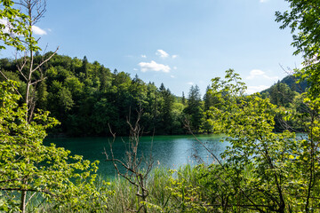 Picturesque morning in Plitvice National Park. Colorful spring scene of green forest with pure water lake. Great countryside view of Croatia, Europe