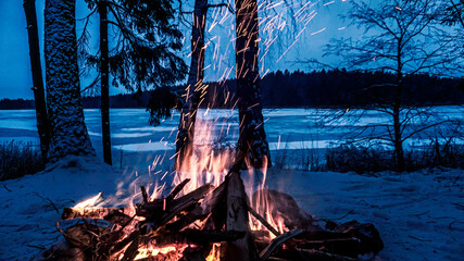 Bonfire in the winter forest. winter camping