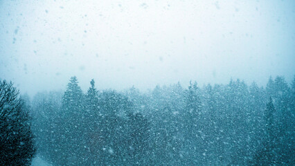 Beautiful winter panorama at snowfall