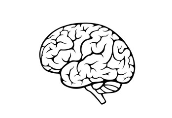 human brain icon. side view. isolated vector mind sign