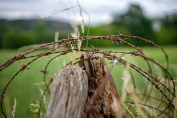 Barbed Wire Fence In A Grassy Field