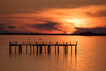 Fototapeta premium Two pink flamingos fly over the sea at sunset. Two seagulls are perching on a pier. Their strengths are visible. The sky and the sea are fiery in color.