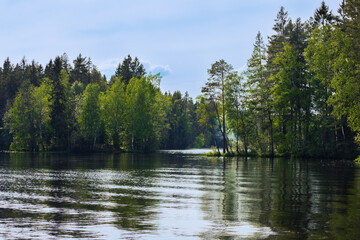 Fototapeta na wymiar summer view of Lake Dolgoe Ozero, Saint-Petersburg, Russia