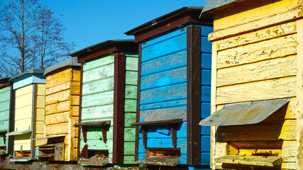 colorful vintage wooden beehives at sunny spring day