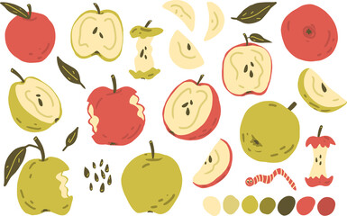 Apple green and red, apple slice, half of apple, apple stub vector clipart set hand drawn childish flat style isolated on white background.