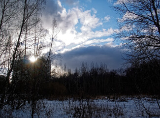 winter sunset in the forest, Moscow