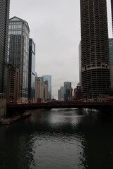 Fototapeta premium Budynki w Chicago