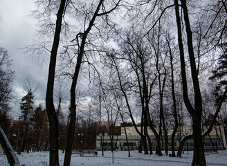 Park in winter on a cloudy day, the outskirts of Moscow