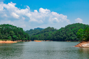 Landscape on the lake. The distant woods.