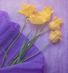 vintage postcard with yellow tulips on violet background