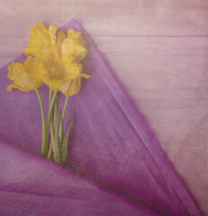 card with yellow tulips on violet background