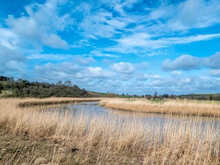 the river Arun running through the English County of West Sussex