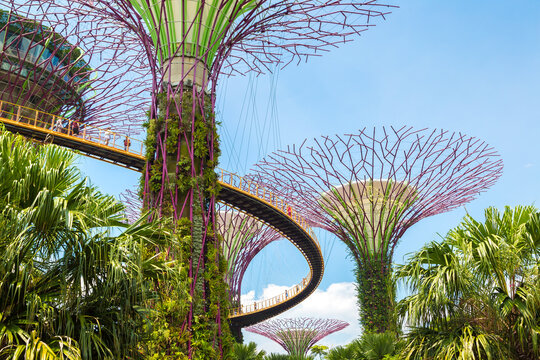 Gardens by the Bay in Singapore