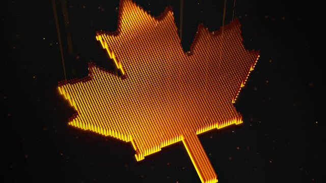 Canada maple leaf sign. 3D render animation
