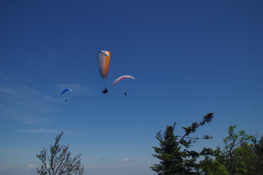 Drei Paraglider