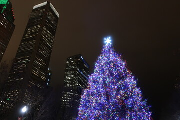 Lit up tree in Chicago