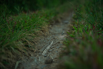 footpath in the countryside