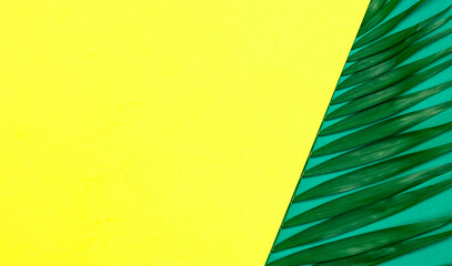 Tropical background. Palm leaves on bright yellow green background. Flat lay, top view, copy space. Summer background, nature. Creative minimal background with tropical leaves. Leaf pattern