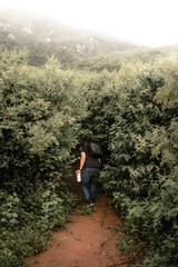 Fototapeta premium hiking in the mountains